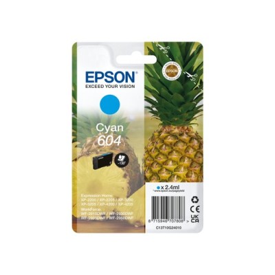 CART. BRAND 604 CIANO C13T10G24010