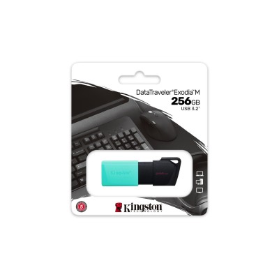 PENDRIVE 256GB USB 3.2 DTXM/256GB